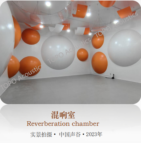 蘇州?中國(guó)聲谷混響室